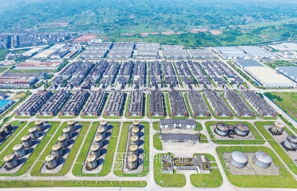 砥砺奋进的五年丨千亿近在咫尺!“变”与“不变”看泸酒