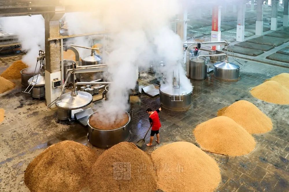 砥砺奋进的五年丨千亿近在咫尺!“变”与“不变”看泸酒