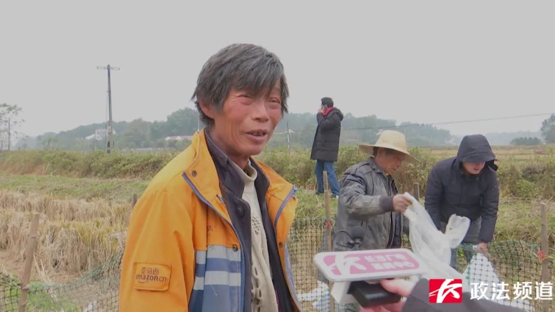 湖南买鸭,长沙买鸭