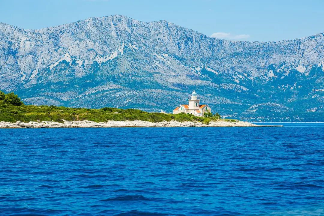 林子大了什么鸟都有下一句,林子大了啥鸟都有歌曲