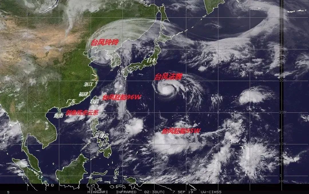 林子大了什么鸟都有下一句,林子大了啥鸟都有歌曲