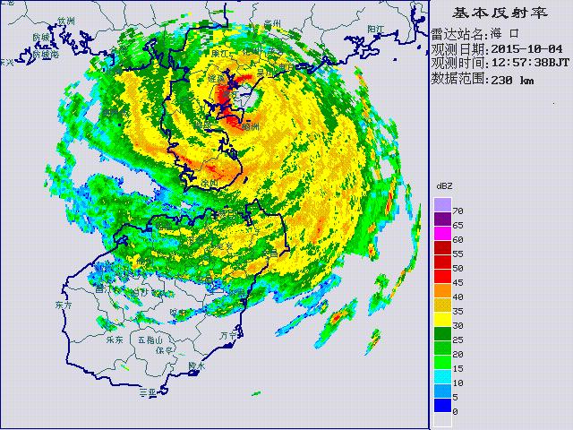 林子大了什么鸟都有下一句,林子大了啥鸟都有歌曲