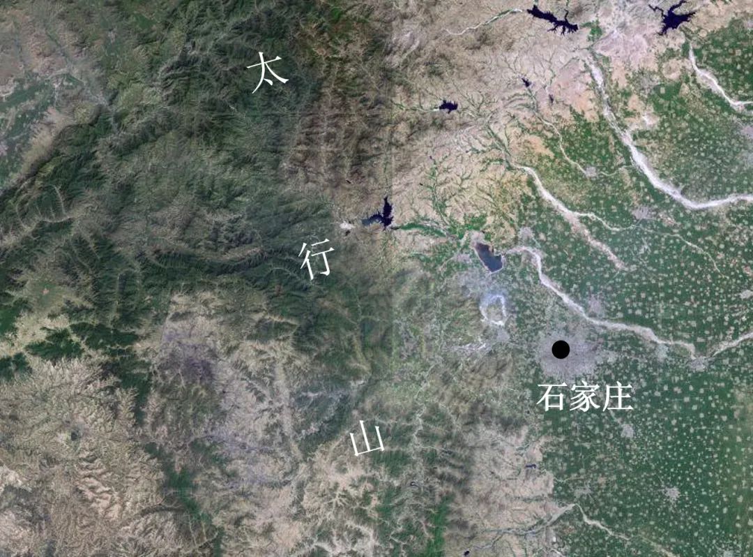 林子大了什么鸟都有下一句,林子大了啥鸟都有歌曲