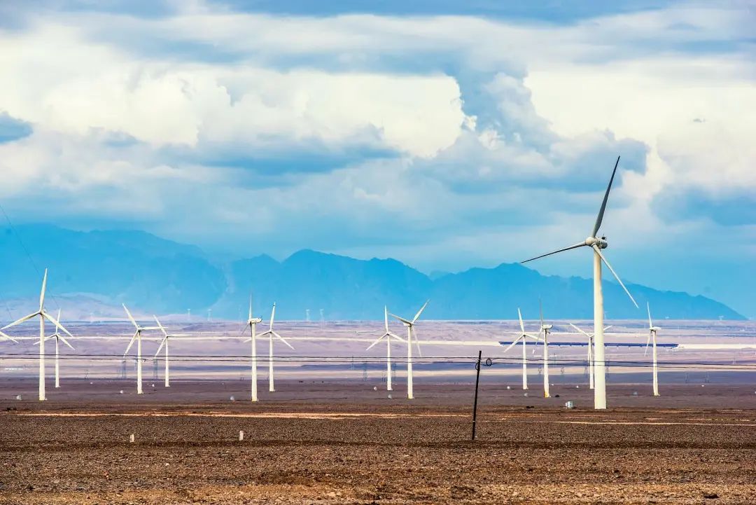 林子大了什么鸟都有下一句,林子大了啥鸟都有歌曲