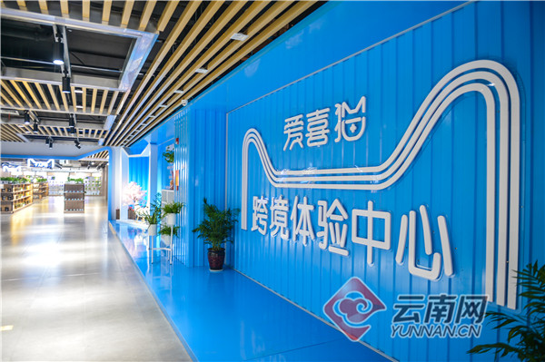 「“浙”里问道⑨」义乌数字综保区进口孵化区：世界“小商品之都”的华丽转身