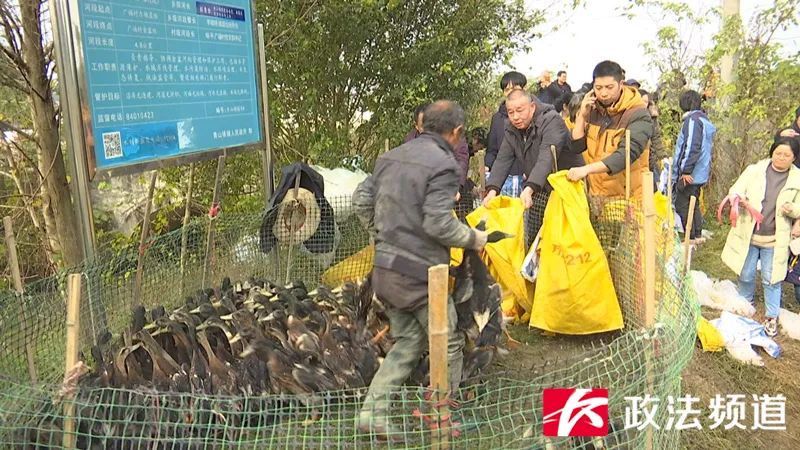 转发直购购买流程,转发产品怎么点购买链接