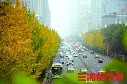 深读丨“坏妹妹”作怪，今冬只剩“冷冷冷”？