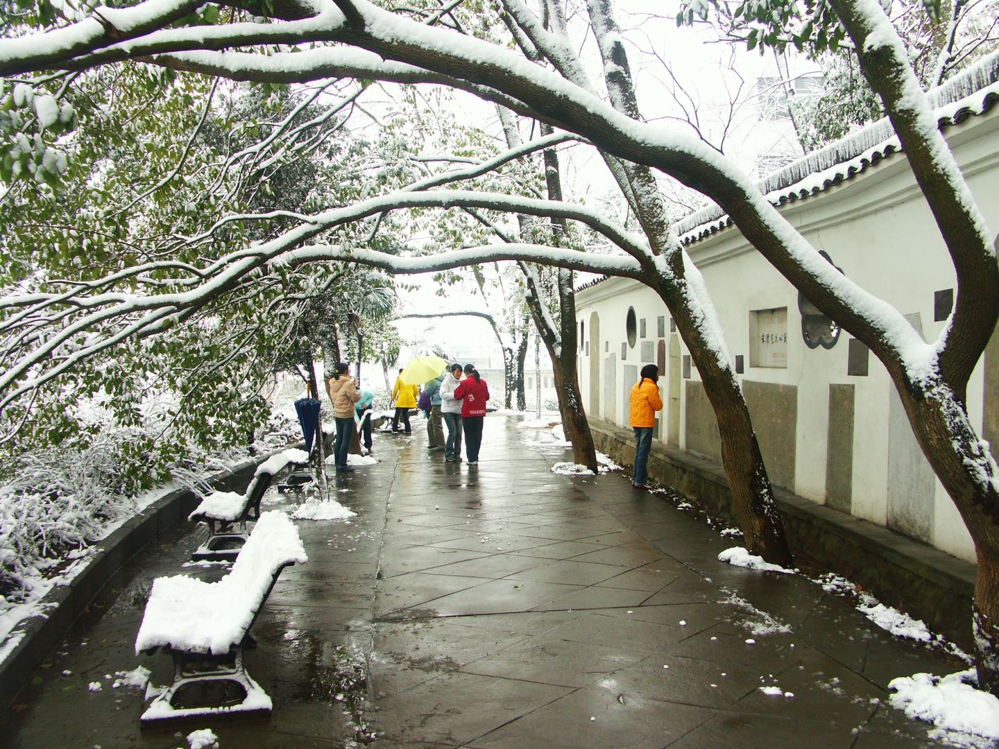 鍗冨勾鏂囪剦鍦ｅ洯,鍙ゅ煄鏂扮櫥