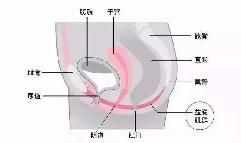 针灸治什么病疗效最好女性,针灸抗衰真的靠谱吗