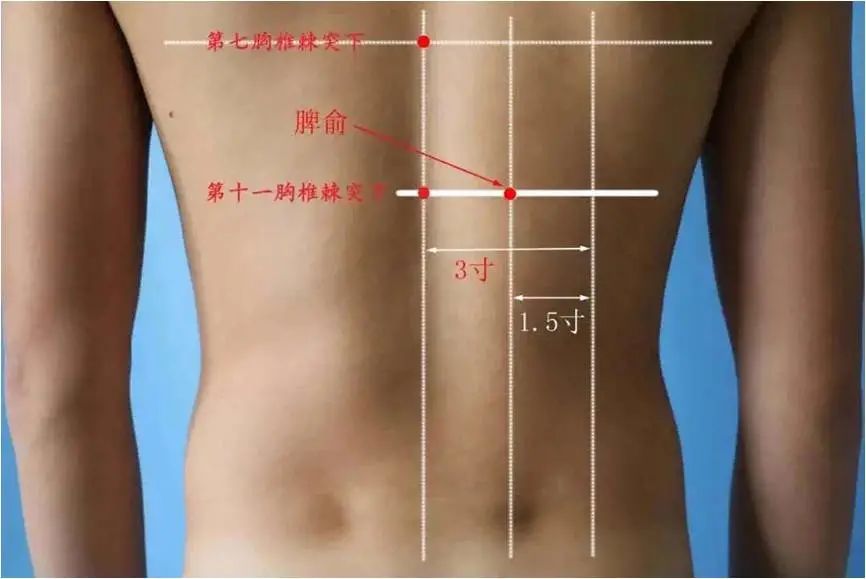 针灸治什么病疗效最好女性,针灸抗衰真的靠谱吗