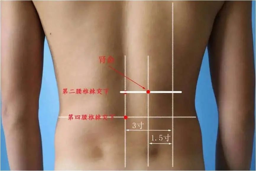 针灸治什么病疗效最好女性,针灸抗衰真的靠谱吗