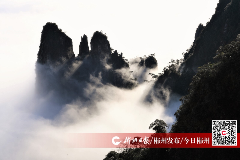 最美山峰云海,最美屋脊山观云海好去处