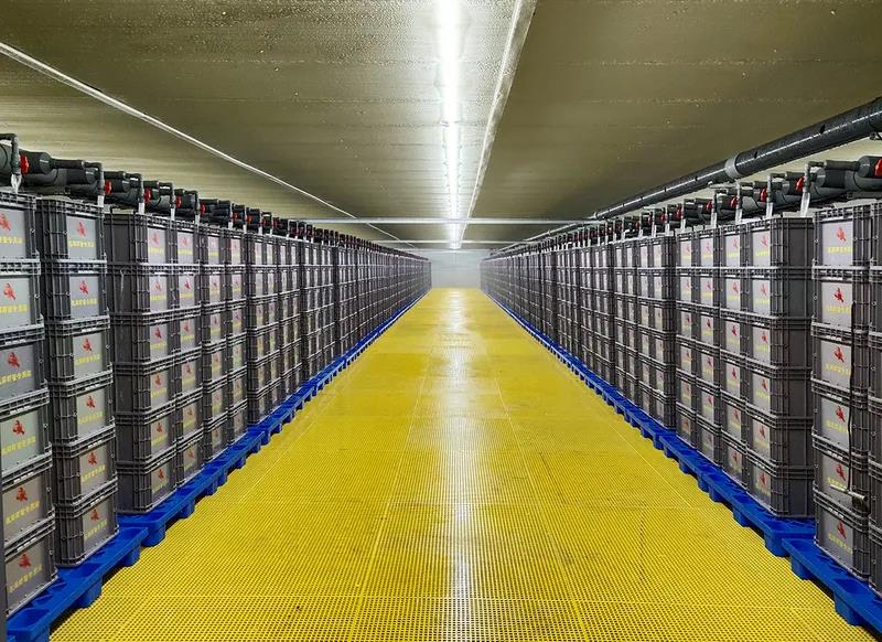 小龙虾离开塘口还能存活长达6个月!低温仓储暂养技术,实现小龙虾全年鲜活供应