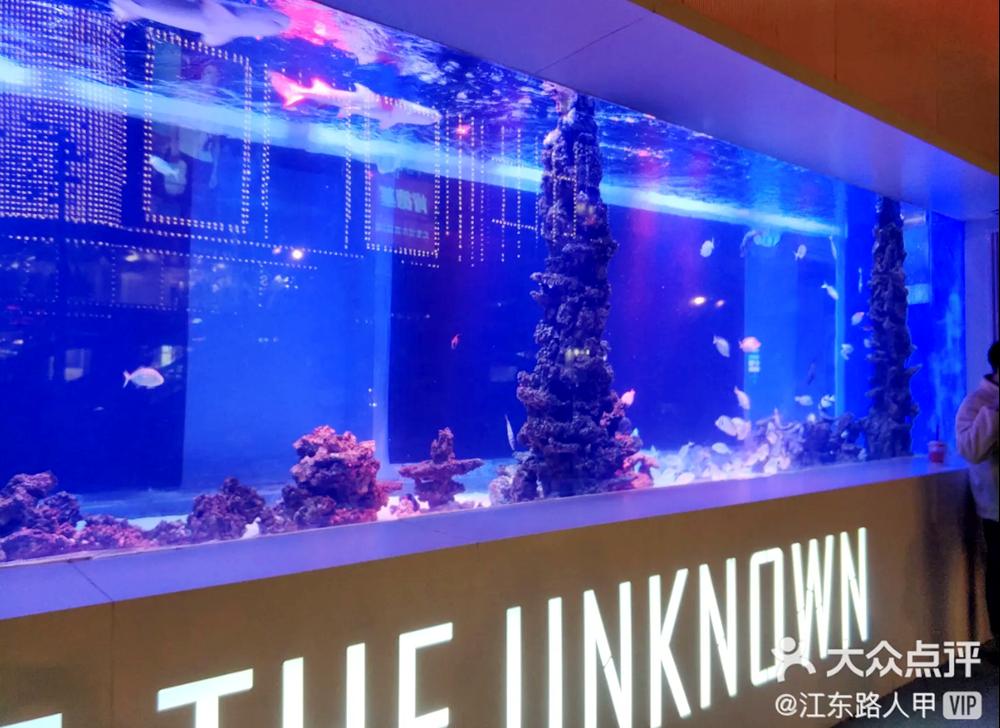 成都又新添一大波“明星店”！关晓彤的奶茶、黄晓明的复古烤肉、网红厨师王刚的秘制卤菜…都来啦