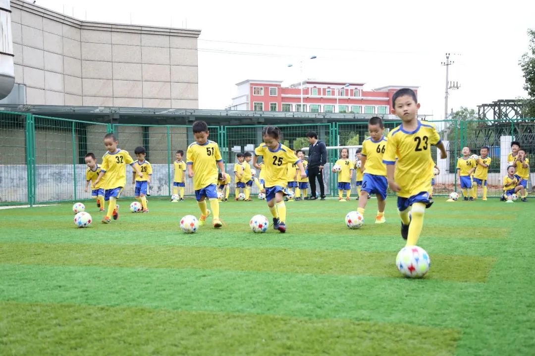 新华幼儿园浦江,浦江县新华幼儿园