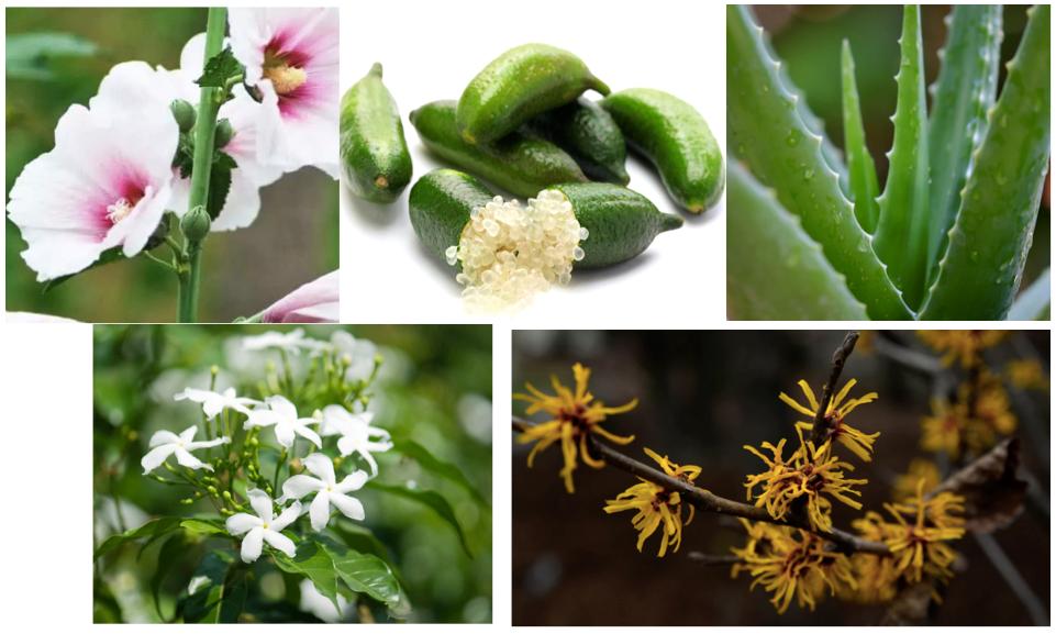 还在用洗面奶、磨砂膏？这款肌肤吸尘器，天然去角质，深度清洁毛孔，用完后整张脸都透气了