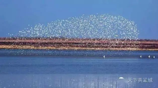 南昌冬天小孩玩的地方哪里好玩,南昌冬天适合去哪里玩