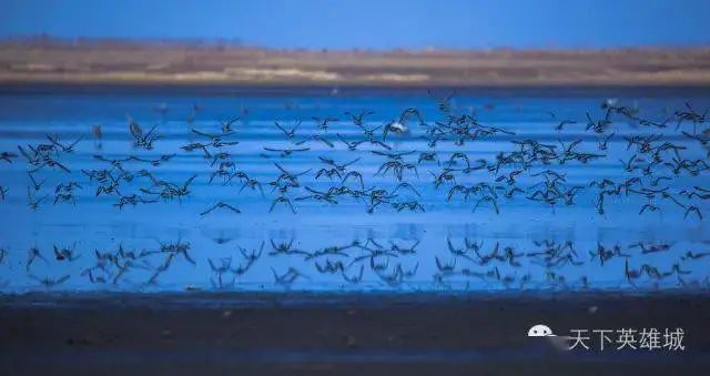 南昌冬天小孩玩的地方哪里好玩,南昌冬天适合去哪里玩