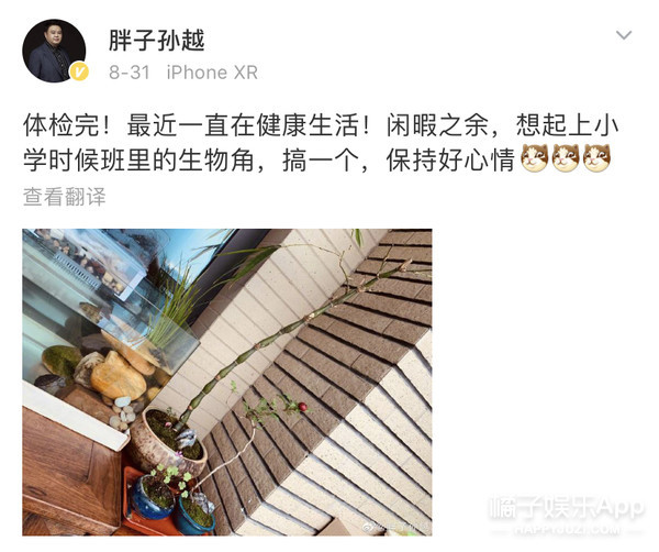 于谦郭德纲20周年相互表白,郭德纲于谦岳云鹏对话