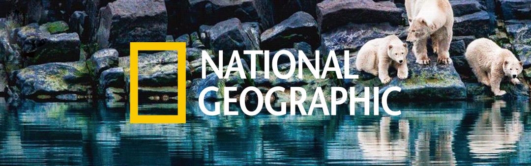 狗狗能记住的单词,狗狗的英文单词是什么