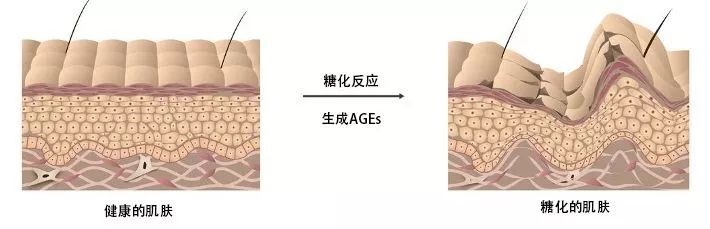 皮肤干的女生用的网红面膜,冬天女生脸部干燥用什么护肤品