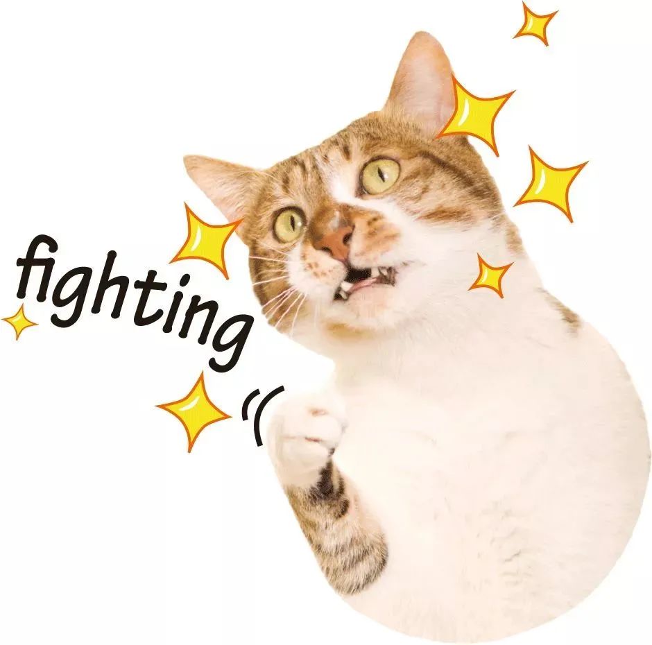 嗨爆全城!看神秘女星!乘免费直升机!这家商场周年庆福利大派送啦