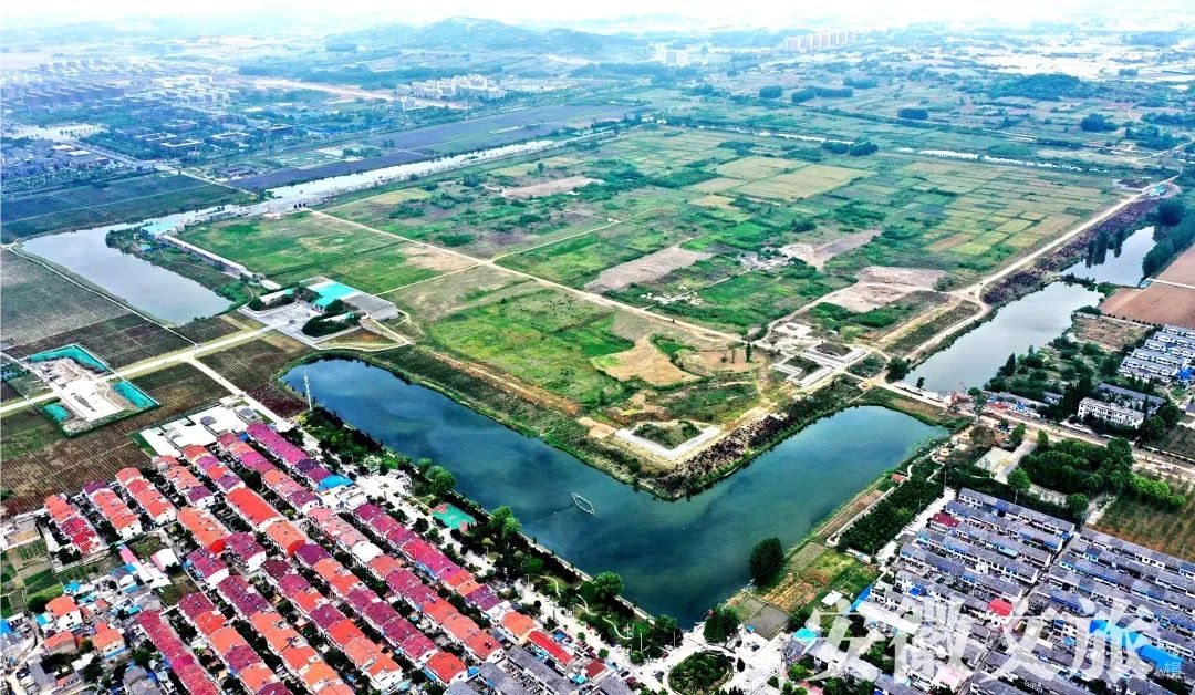 寻古问今,寻古问今的释义