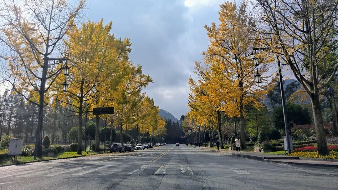 袁庭栋讲麻将全集,袁庭栋讲刘湘之死