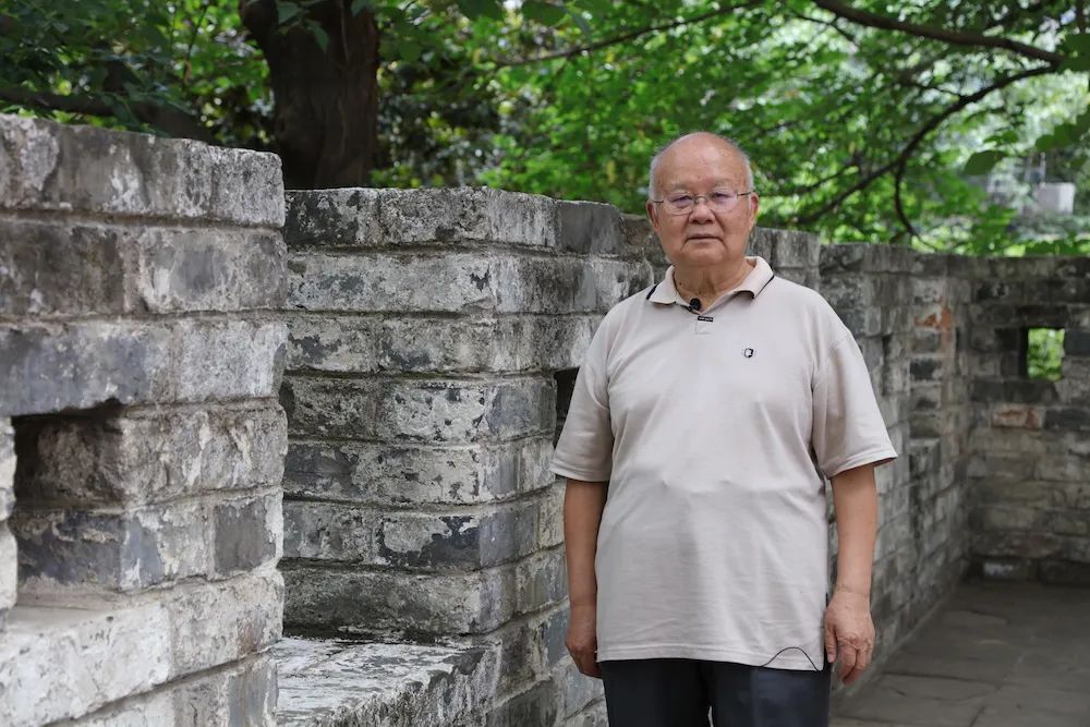 袁庭栋讲麻将全集,袁庭栋讲刘湘之死