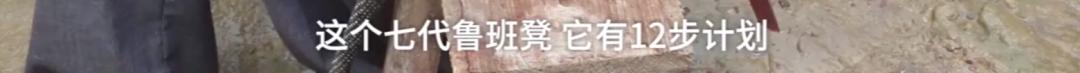当代“鲁班”，63岁中国木匠在YouTube获千万赞，成中国“网红”，徒手造神话