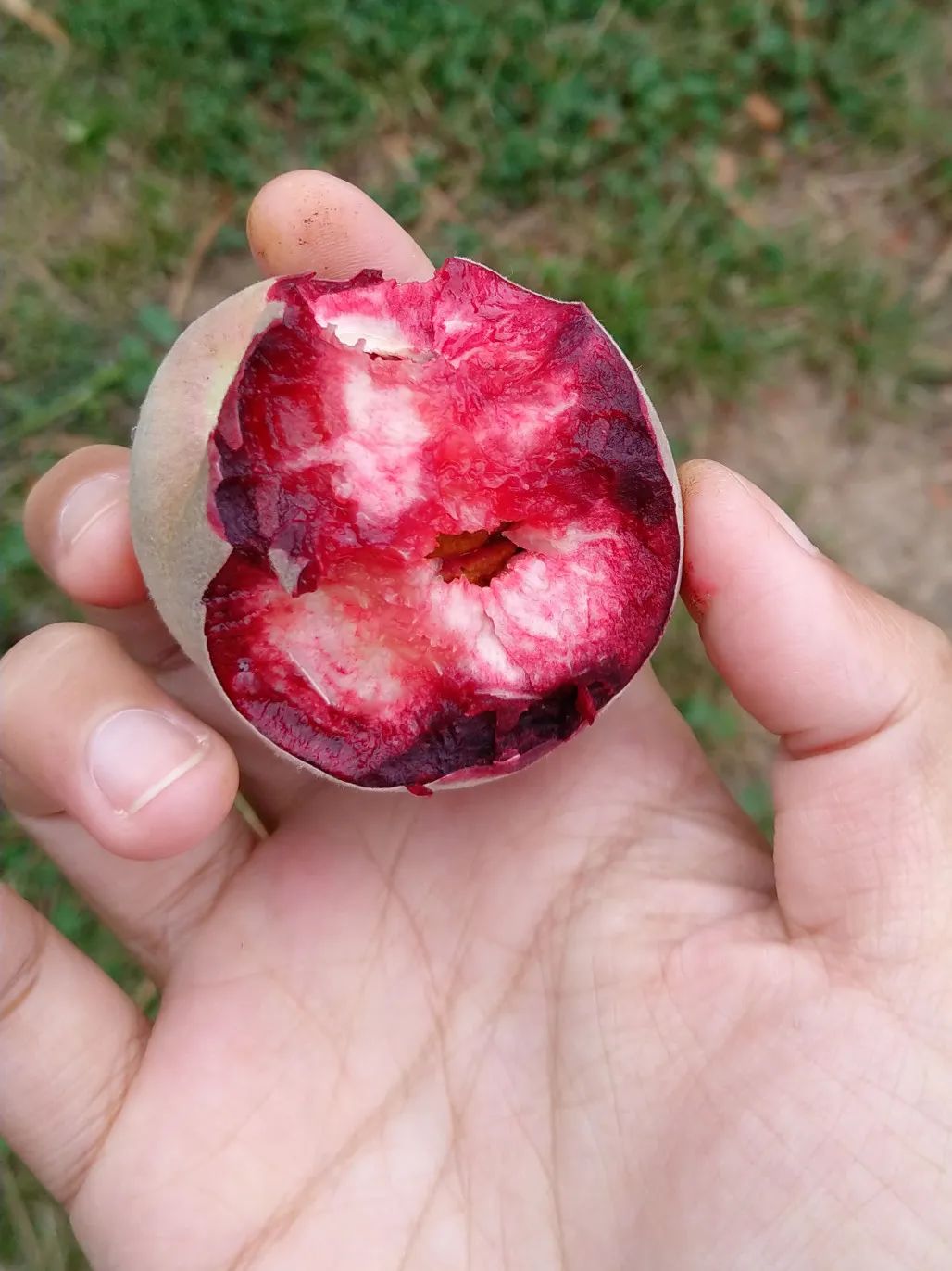 6年睡在公司里，35岁留学，36岁获得新西兰顶级动画新人奖——超酷红姐的硬核人生