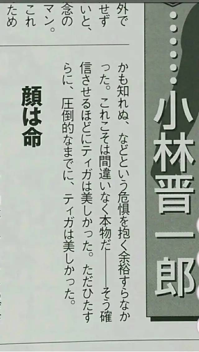 奥特曼的帅气照片有哪些,奥特曼中谁最帅气照片