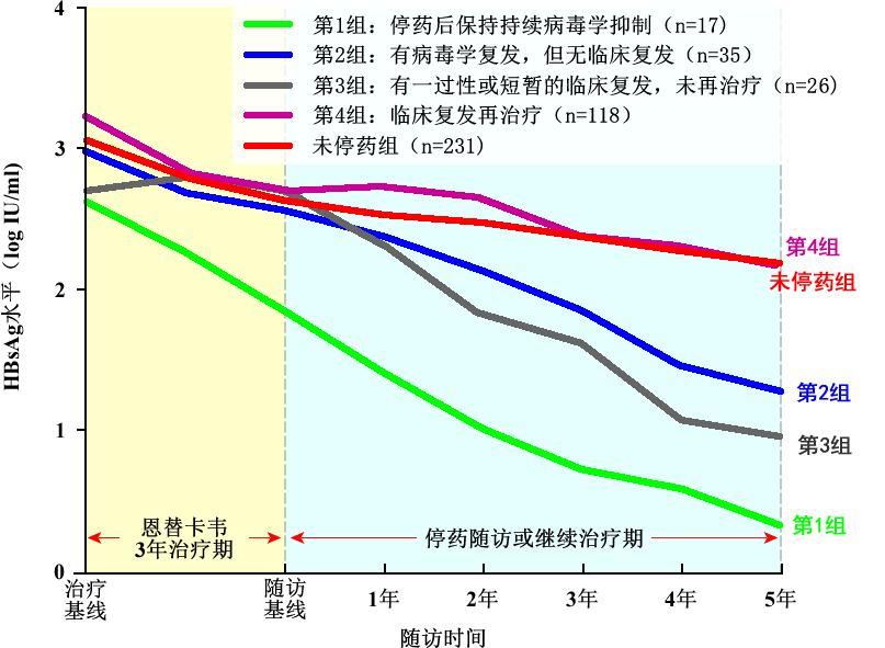 乙肝小三阳抗病毒治疗心路历程,乙肝小三阳慢性肝炎能活多久