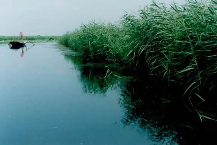 汪曾祺哪本小说好看,汪曾祺小说特点