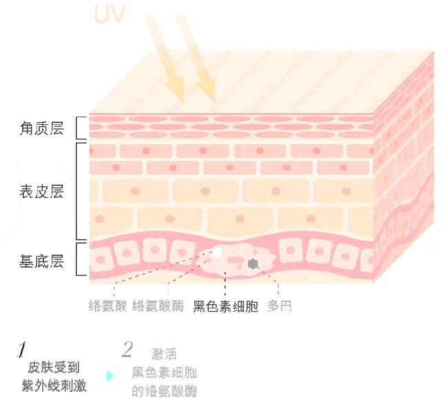 亲自用过有效的美白产品,自己用过的护肤品推荐