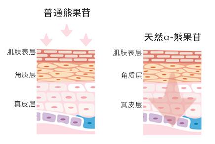 亲自用过有效的美白产品,自己用过的护肤品推荐