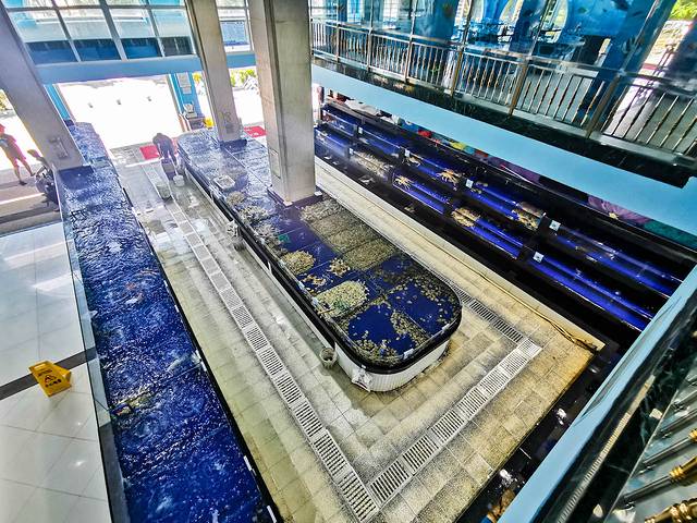 三亚海棠湾吃住攻略,三亚亚龙湾天下第一湾攻略