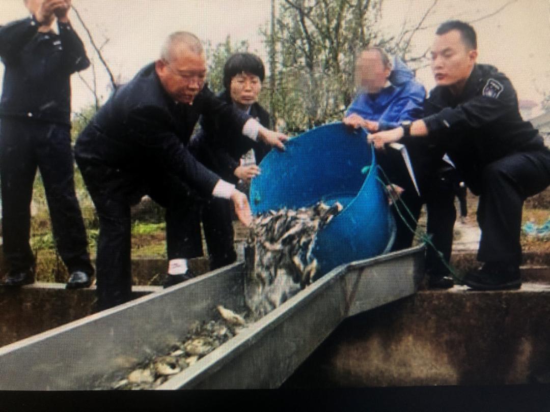 最高检长江经济带典型案例第三批,最高检长江经济带典型案例第二批