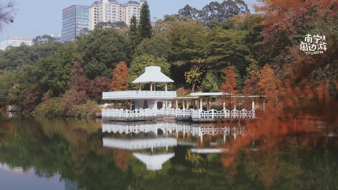 南宁适合一日游攻略,南宁免费玩的地方