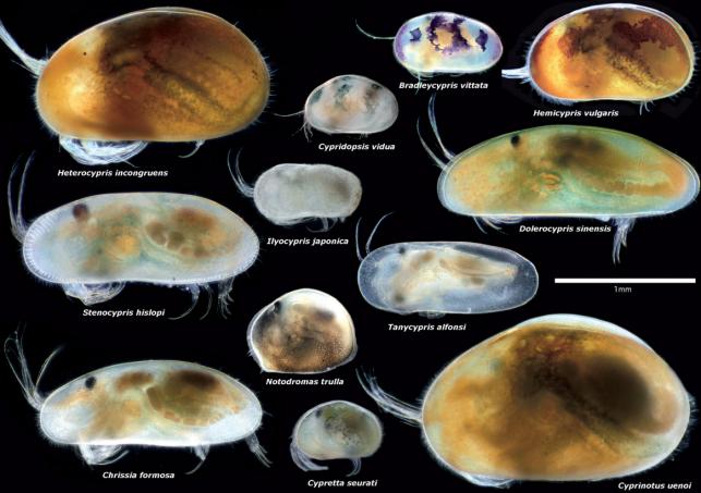 科学家发现上亿年前的信号,科学家发现精子质量