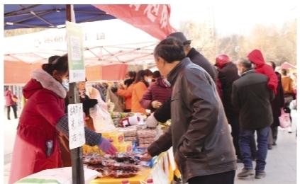 城步县电子商务公共服务中心,乐都政务中心