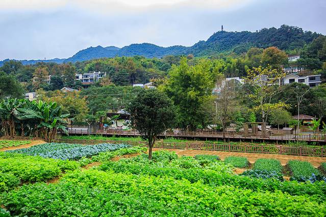爱上赣州的理由,江西风景独好原创