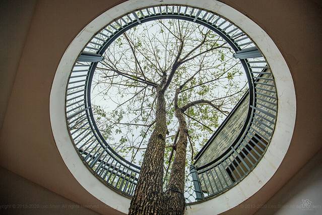 爱上赣州的理由,江西风景独好原创