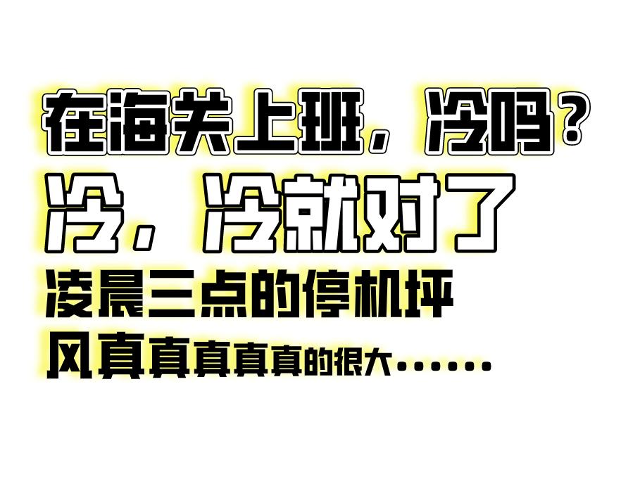 海关工作真实感受,海关上班的真实感受