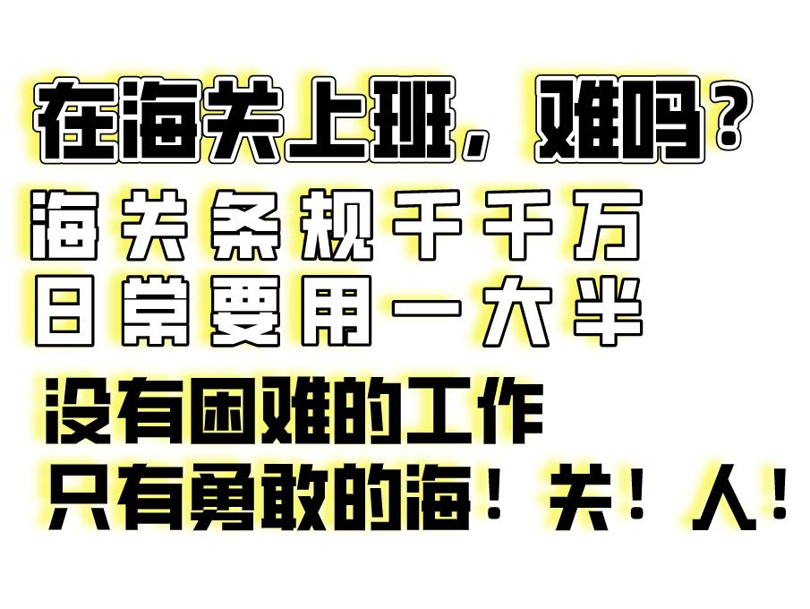 海关工作真实感受,海关上班的真实感受
