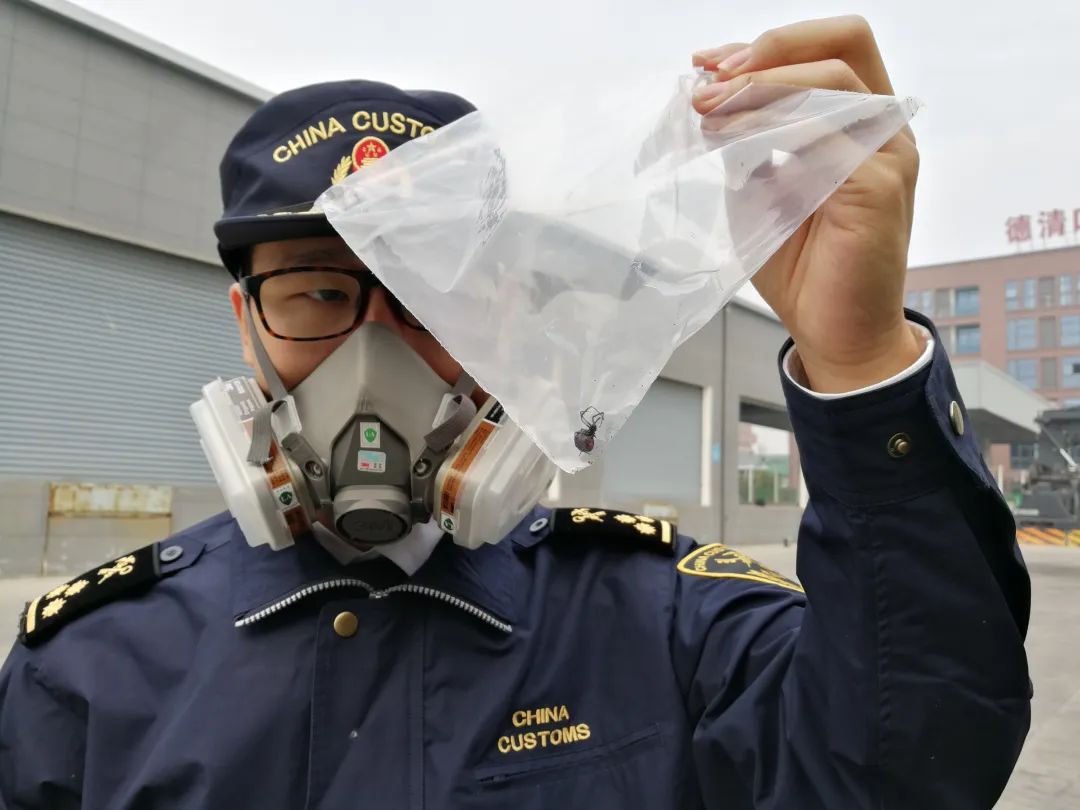 海关工作真实感受,海关上班的真实感受