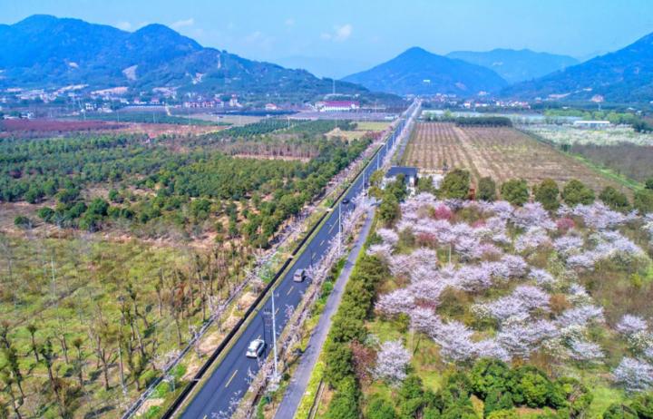 颜值爆表！这两条路入选杭州“十佳”！更多美景就在你身边~