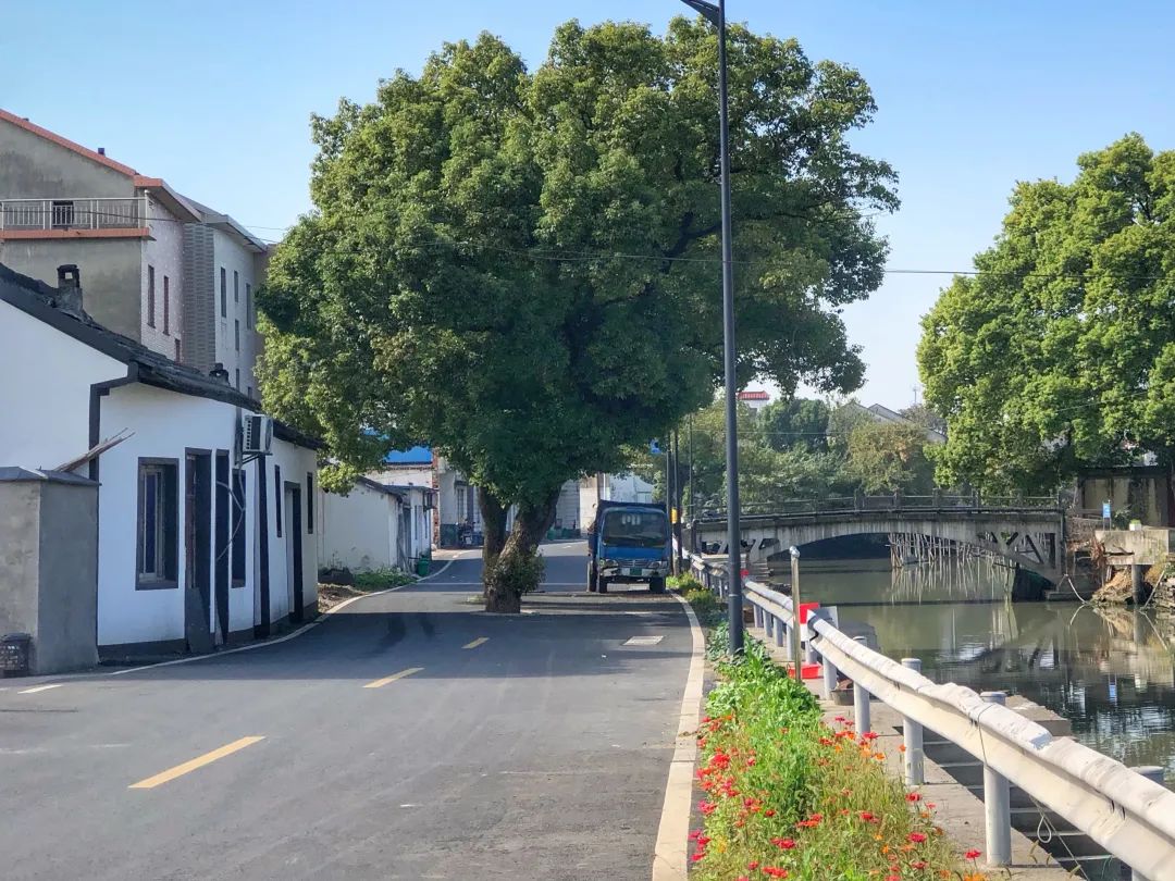 颜值爆表！这两条路入选杭州“十佳”！更多美景就在你身边~