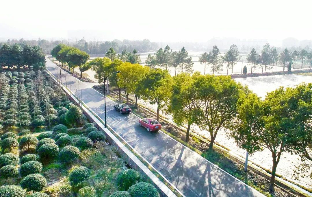 颜值爆表！这两条路入选杭州“十佳”！更多美景就在你身边~