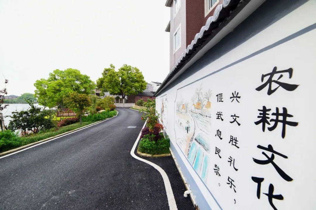 颜值爆表！这两条路入选杭州“十佳”！更多美景就在你身边~